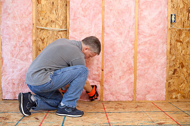 Professional Insulation Contractor in Avon Lake, OH